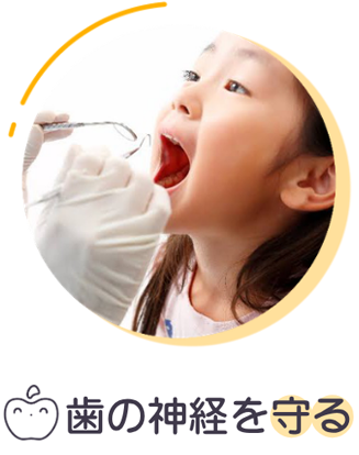 歯の神経を守る
